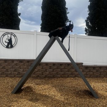Hochburg K9 - Pet Training Near Me