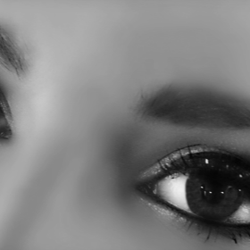 Lorenco's Salon - Eyelashes!