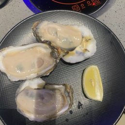 Huge raw oysters! The lemon slice is a typical size slice of lemon. Huge raw oysters! The lemon slice is a typical size slice of lemon.