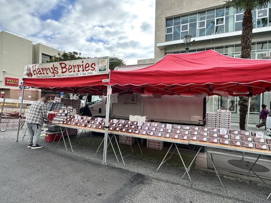 Farmers Market - Wednesday/Saturday Downtown Santa Monica by null