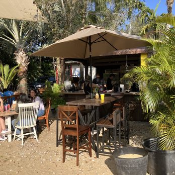 Zensations Garden - Eleven Yard - Nurseries & Gardening Near Me - Davie, Florida