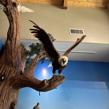 Big Bear Discovery Center - Hiking Near Me - Fawnskin, California