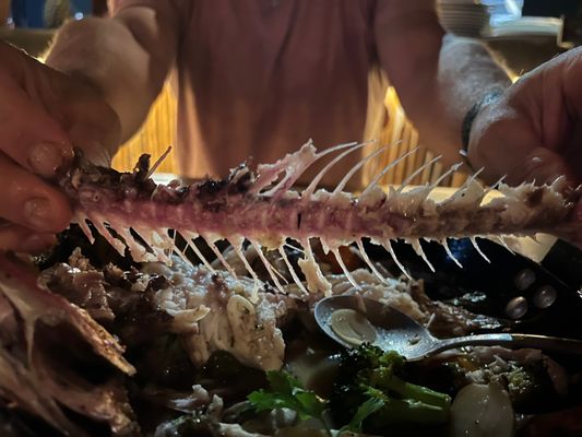 Loco Tulum Restaurant - Mediterranean Kitchen by null