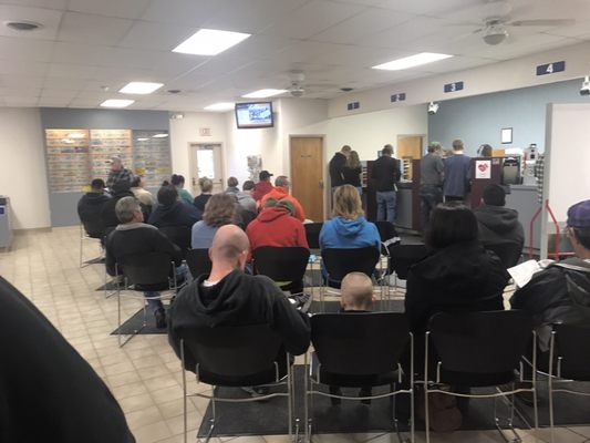 Front Royal DMV by null