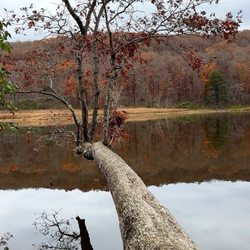 Shawnee State Park