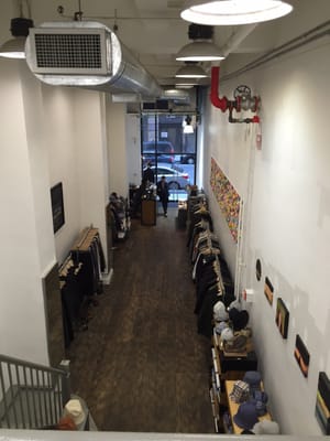 Nepenthes New York by null