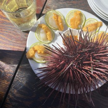Santa Barbara Shellfish Company - Uni on Scallops - so fresh that the Uni shell had intermittent movement... used to this so it doesn't freak me out anymore. - Seafood Near Me - Santa Barbara, California Santa Barbara Shellfish Company - Uni on Scallops - so fresh that the Uni shell had intermittent movement... used to this so it doesn't freak me out anymore. - Seafood Near Me - Santa Barbara, California