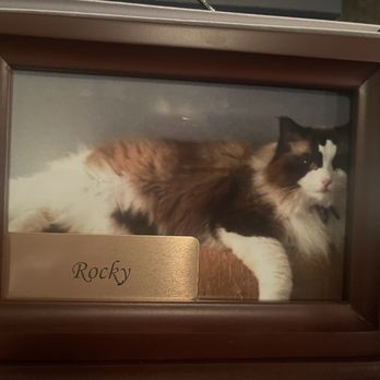 VEG ER for Pets - Emergency Pet Hospital Near Me - Hoboken, New Jersey VEG ER for Pets - Emergency Pet Hospital Near Me - Hoboken, New Jersey