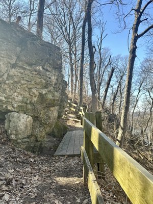 Mississippi Palisades State Park by null