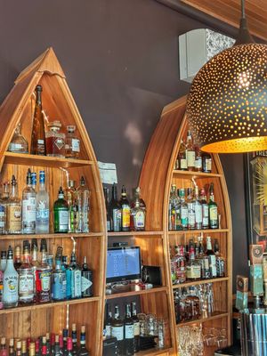 The Paper Canoe by null