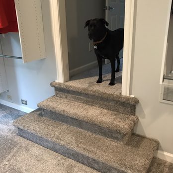 Yoder & Co. Floors - He loves the carpet too - Carpeting Near Me - Columbus, Ohio