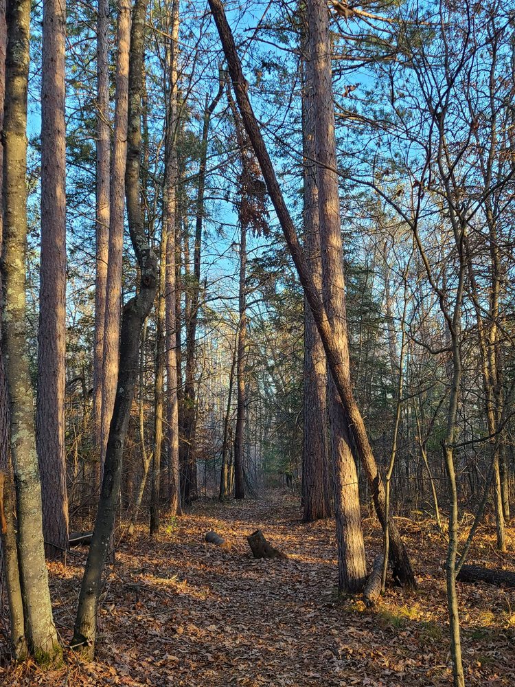 GETAWAY KETTLE RIVER Updated September 2024 33 Photos 77112 Long