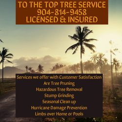 To The Top Tree Service