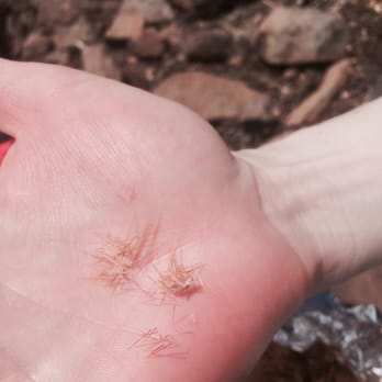 Wilson Mountain Trail - Friend had a fight with a cactus.. Let you figure out who won - Hiking Near Me - Sedona, Arizona