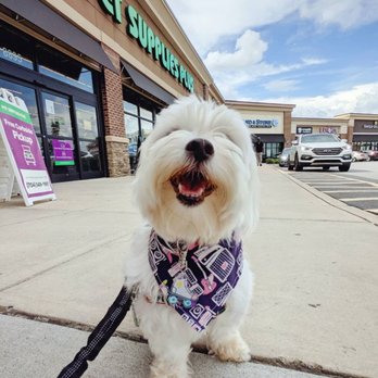 Pet Supplies Plus Fairhaven - Pet Stores Near Me - Fairhaven, Massachusetts