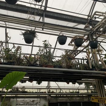 Ted's Greenhouse - Nurseries & Gardening Near Me - Tinley Park, Illinois Ted's Greenhouse - Nurseries & Gardening Near Me - Tinley Park, Illinois