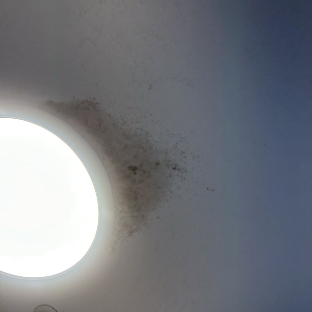 Mold