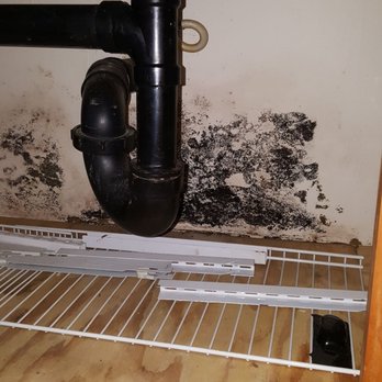 Soniat Realty - The apartment was and is full of black mold. I found out this was from a water leak about a year ago. - Property Management Near Me - New Orleans, Louisiana Soniat Realty - The apartment was and is full of black mold. I found out this was from a water leak about a year ago. - Property Management Near Me - New Orleans, Louisiana