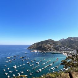 Catalina Jet Ski And Electric Bike Rentals - View from top