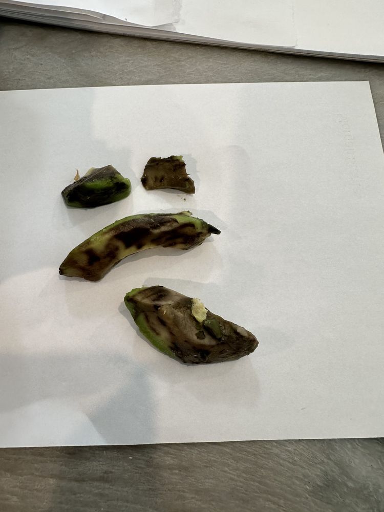 BAGELWICH BAGEL BAKERY Updated October 2024 19 Photos & 33 Reviews