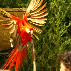 Le Jardin Aux Oiseaux