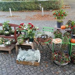 Blumen und Ambiente