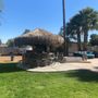 Photo of The Palapa Guy