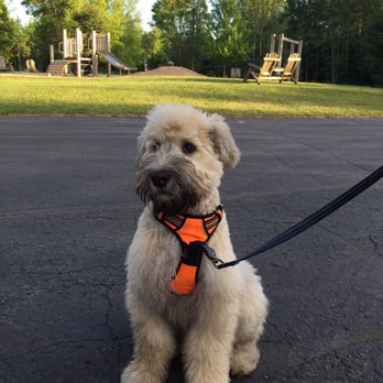 Wagon Trail Campground - Dog friendly! - Campgrounds Near Me - Ellison Bay, Wisconsin Wagon Trail Campground - Dog friendly! - Campgrounds Near Me - Ellison Bay, Wisconsin