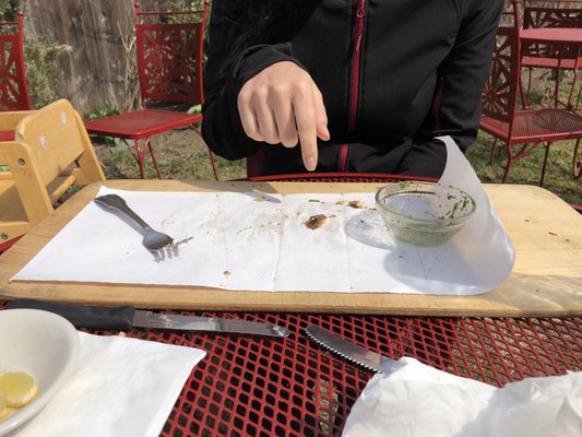 Photo of Garden House 12472 - Rosendale, NY, US. After She inhaled that goat cheese and fog pizza