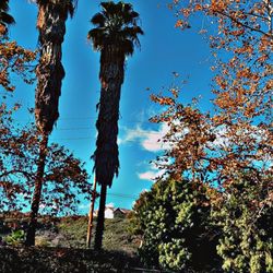 Bastanchury Park