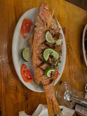 Rancho Alegre Cuban Restaurant by null