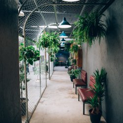 Envy Hair Salon