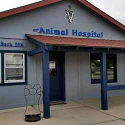 The Animal Hospital - The Animal Hospital's Face Lift!