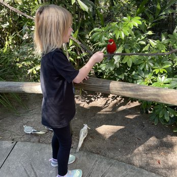 Brevard Zoo - Zoos Near Me - Melbourne, Florida Brevard Zoo - Zoos Near Me - Melbourne, Florida