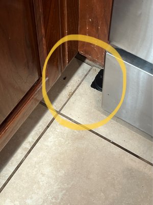 Noelani Condominium Rental Association by null