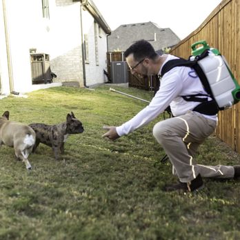 Slade Pest Solutions - I love dogs, especially Frenchies! - Pest Control Near Me - Roanoke, Texas Slade Pest Solutions - I love dogs, especially Frenchies! - Pest Control Near Me - Roanoke, Texas