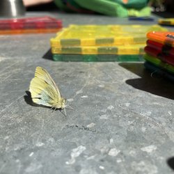 Kid Works Children's Center