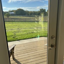 View from our patio door- the pigs View from our patio door- the pigs