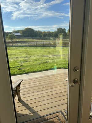 Farm Sanctuary by null