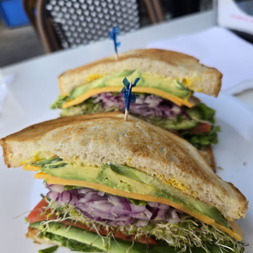 Rose Cafe- Lake Forest - Veggie sandwich with mustard - Breakfast & Brunch Near Me - Lake Forest, California Rose Cafe- Lake Forest - Veggie sandwich with mustard - Breakfast & Brunch Near Me - Lake Forest, California
