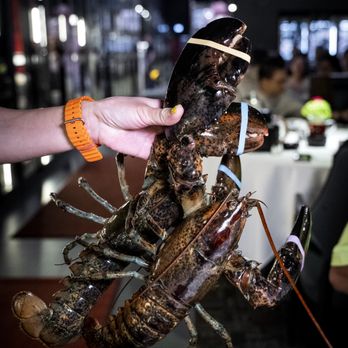 Jumbo Lobster Restaurant - Seafood Near Me - Richmond Hill, Ontario