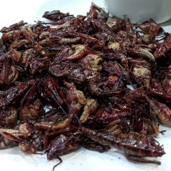 Aqui Es Texcoco - Grasshoppers - Mexican Near Me - Chula Vista, California Aqui Es Texcoco - Grasshoppers - Mexican Near Me - Chula Vista, California