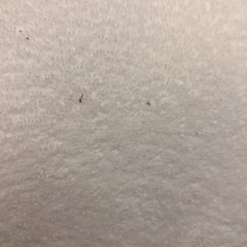 Crowne Plaza - Asked for extra towel and they came dirty ... - Venues & Event Spaces Near Me - Montreal, Quebec