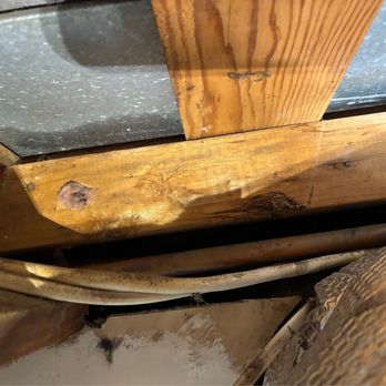 Attic Pros - Pest Control Near Me - Oakland, California Attic Pros - Pest Control Near Me - Oakland, California