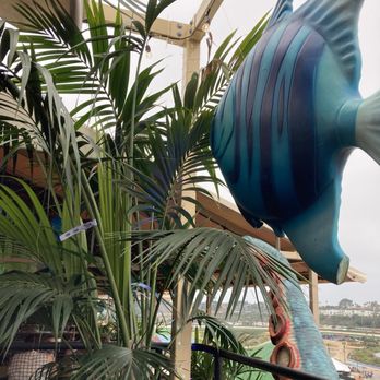 San Diego County Fair - Inside the Speakeasy. - Festivals Near Me - Del Mar, California San Diego County Fair - Inside the Speakeasy. - Festivals Near Me - Del Mar, California