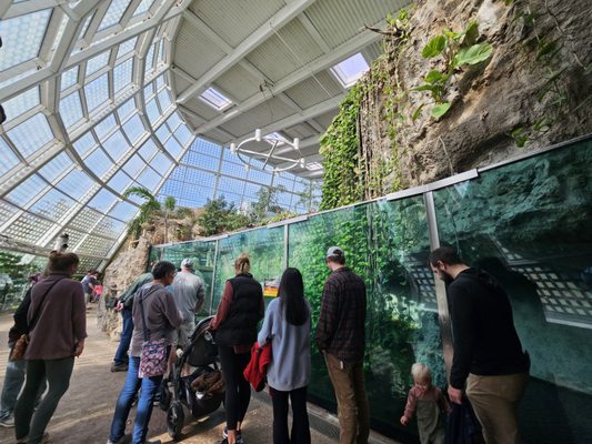 Zoo Atlanta by null