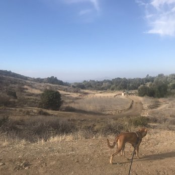 Sapwi Trails Community Park - The path overlooks the outdoor classroom that's near the parking lot off Westlake Blvd. - Parks Near Me - Thousand Oaks, California Sapwi Trails Community Park - The path overlooks the outdoor classroom that's near the parking lot off Westlake Blvd. - Parks Near Me - Thousand Oaks, California