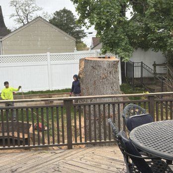 M. Ramirez Landscaping - Landscaping Near Me M. Ramirez Landscaping - Landscaping Near Me