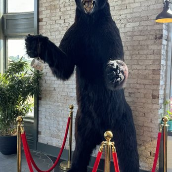 Intuition Coffee + Juice - Jumer's Bear - Coffee & Tea Near Me - Peoria, Illinois