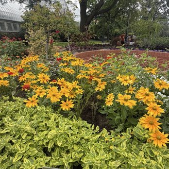 Garfield Park Conservatory - Parks Near Me - Chicago, Illinois